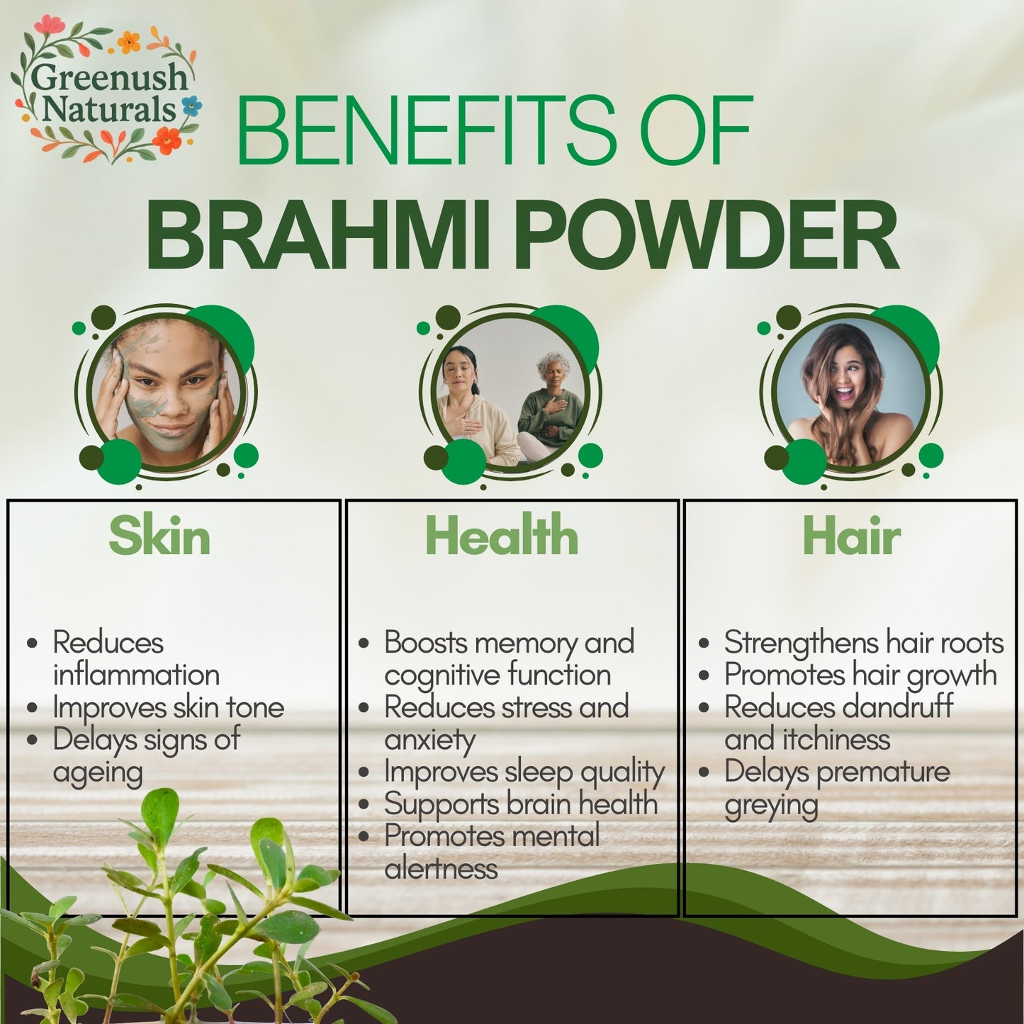 Brahmi Powder