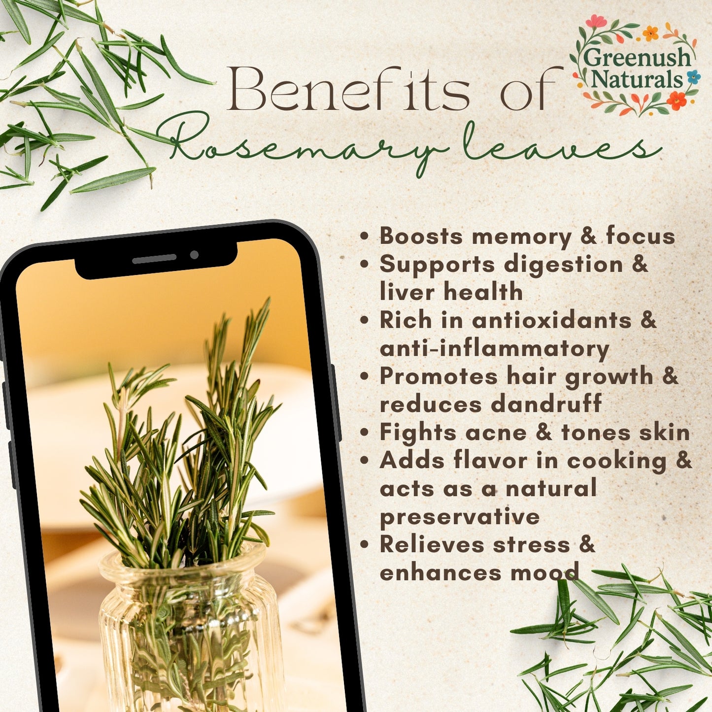 Dried Rosemary Leaves