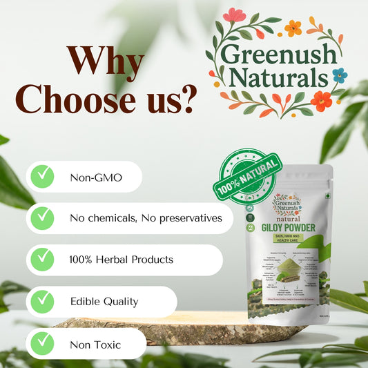 Giloy Powder