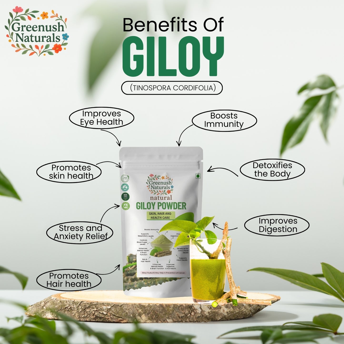 Giloy Powder