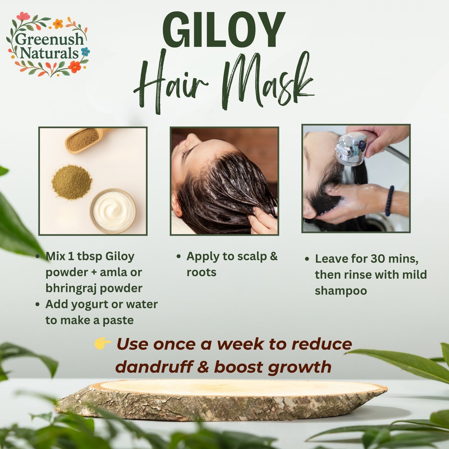 Giloy Powder