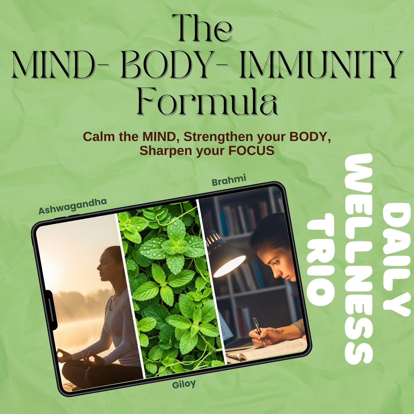 Daily Wellness Trio (Giloy, Brahmi and Ashwagandha)