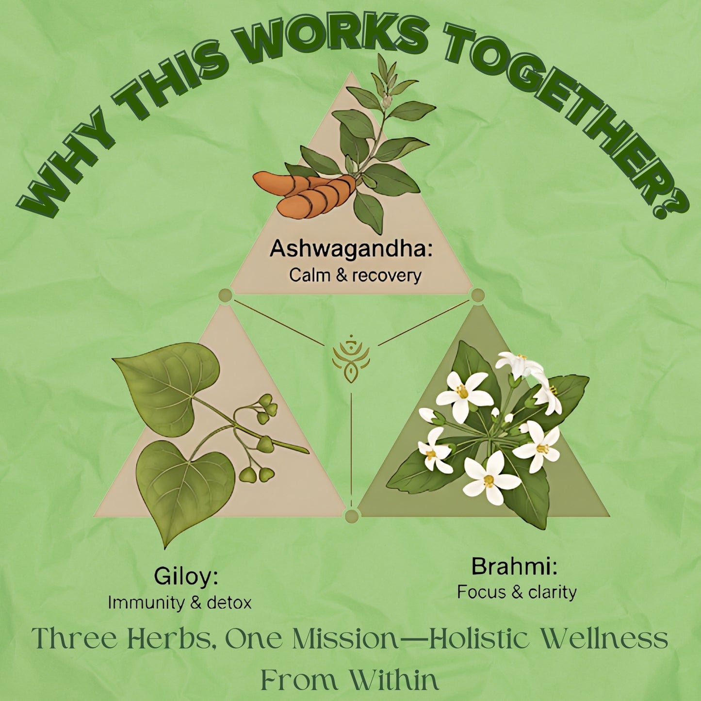 Daily Wellness Trio (Giloy, Brahmi and Ashwagandha)